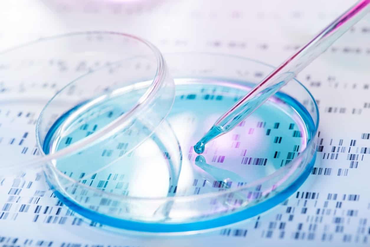 Fragment 176-191 Peptide and Studies in Weight