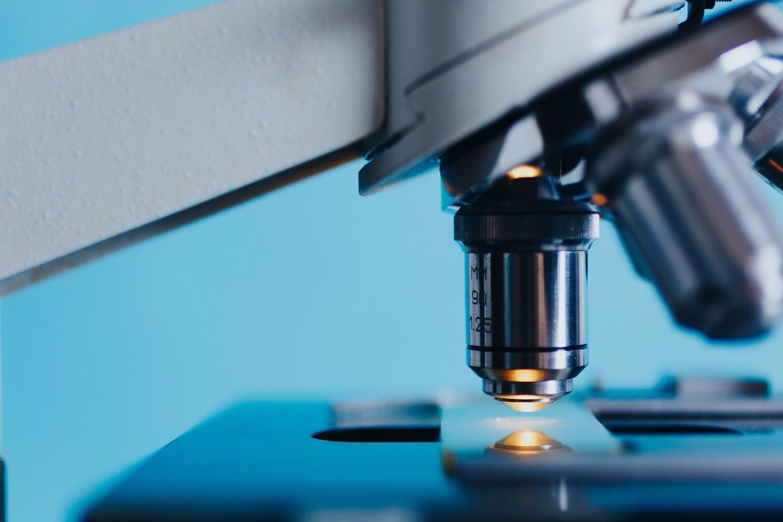 Adipotide Peptide Research in Weight Loss