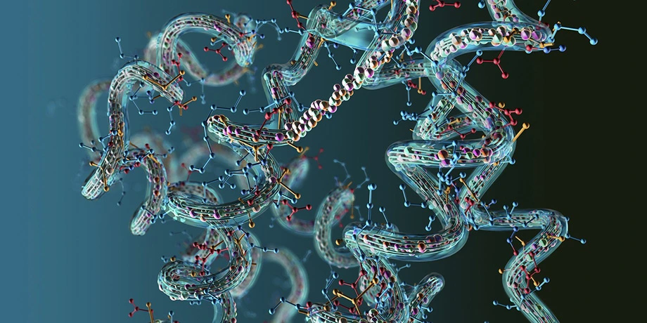 AICAR Peptide And The Energy Metabolism Of Different Cell Types