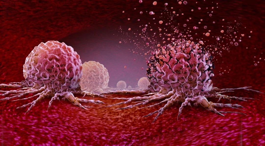 LL-37 Peptide and Immune Cell Modulation