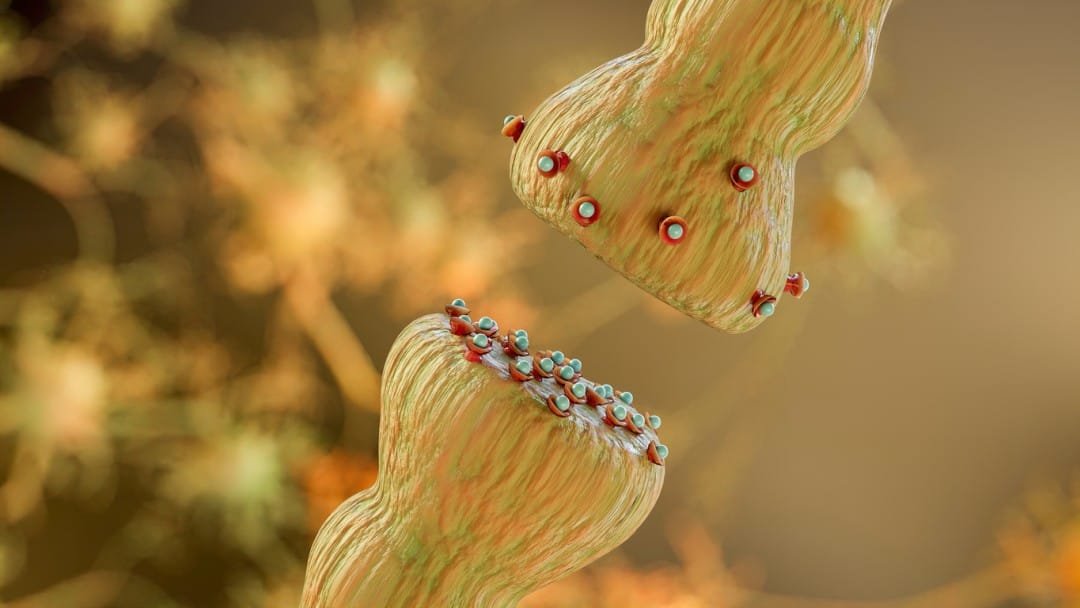 Emideltide Interactions with CNS Neurotransmitters