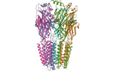 T-34 tripeptide (Chonluten) Actions on Oxidative Stress and Inflammation