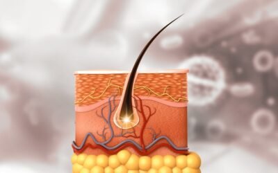 AHK-Cu and Hair Follicle Cell Cultures