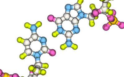 Cortagen’s Potential in Cellular Aging, Stress, and Regeneration