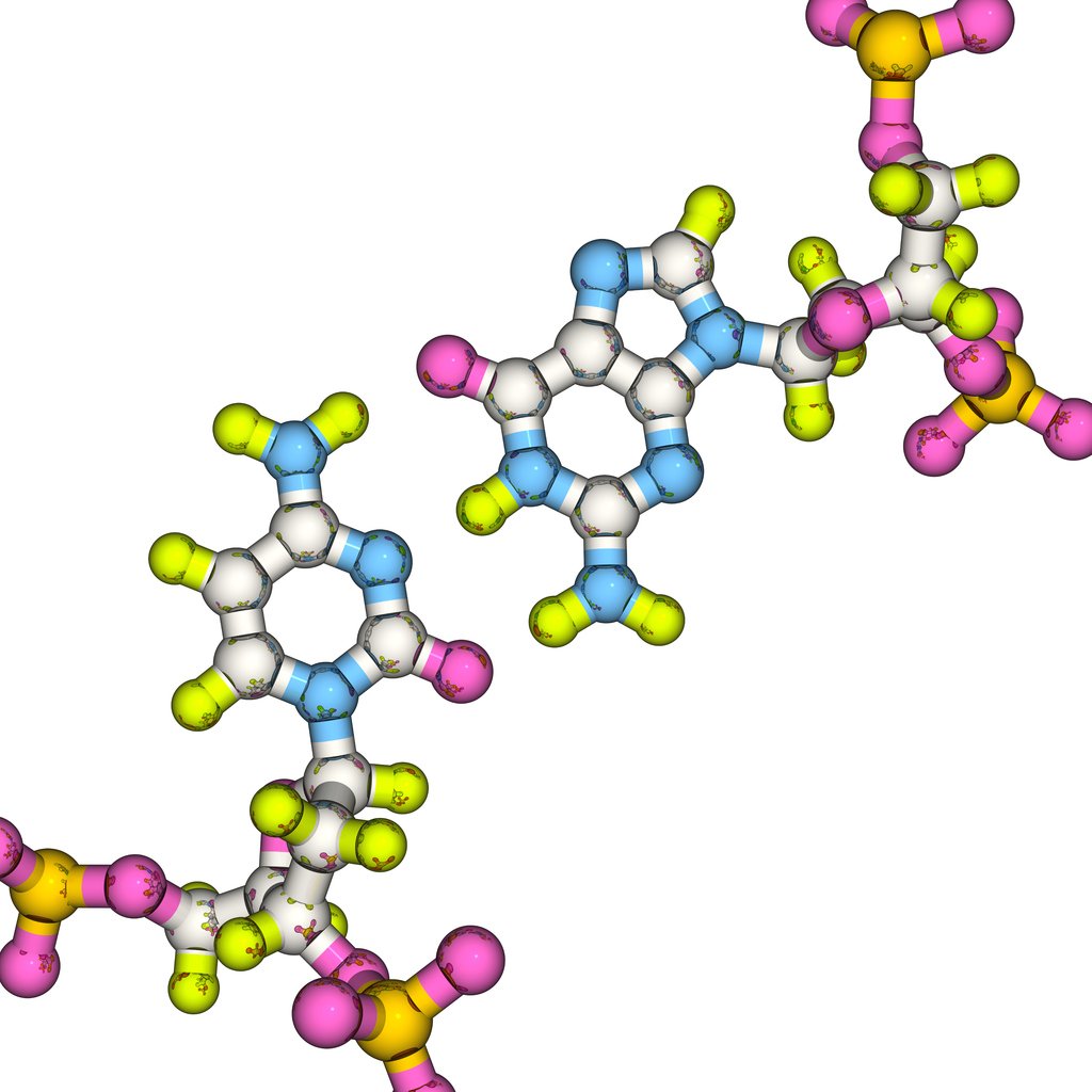 Cortagen’s Potential in Cellular Aging, Stress, and Regeneration