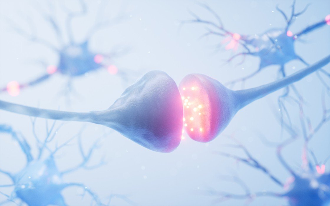 Sermorelin Potential Interactions with Different Hormone-Producing Cells